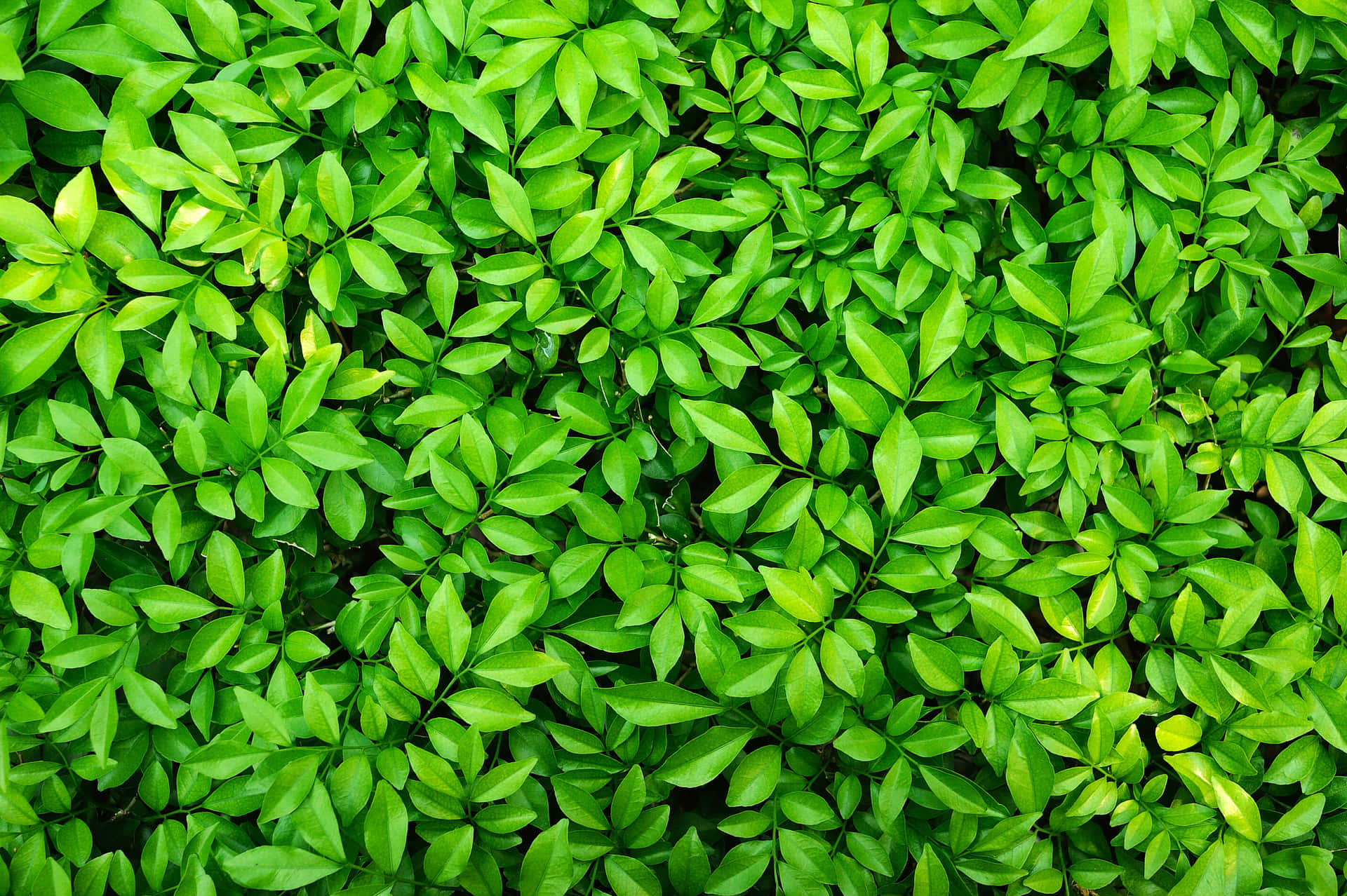 slide image assets/slideshow/files/rt_64cba26039933_b4ede0bad91b7.jpg
